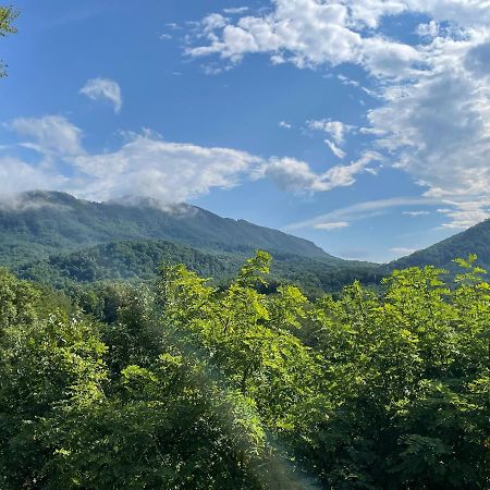 Bear Doodle Villa Sevierville Exterior photo